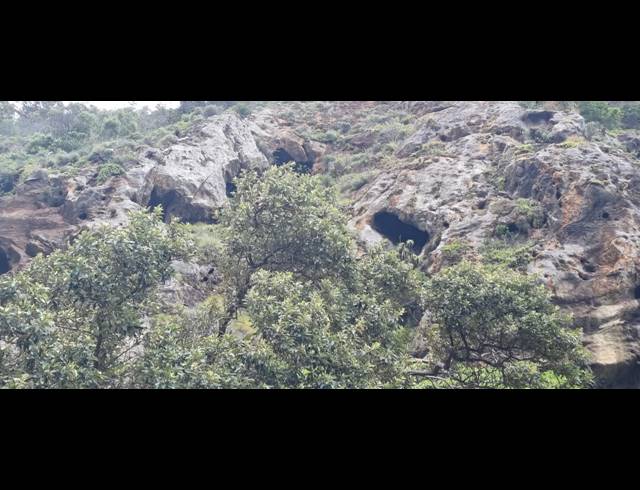 102HA FARM FOR SALE IN HANSMOESKRAAL AH